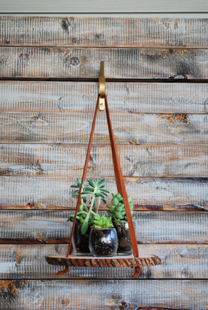 Hanging Wood Slice Plant Stand
