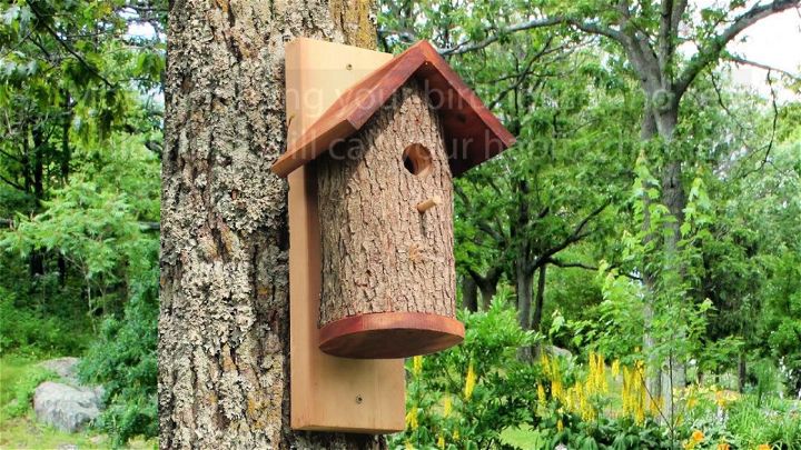 Homemade Bird House from a Natural Log