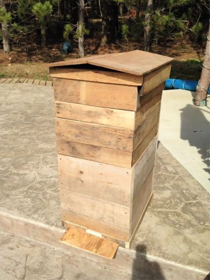 Honey Bee Hive from Old Wooden Skids