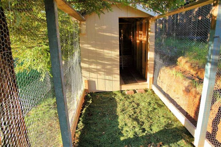 How to Build Your Own Chicken Coop