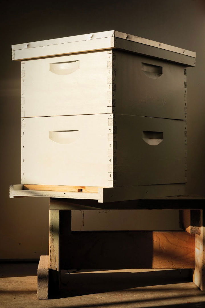 How to Build a Beehive