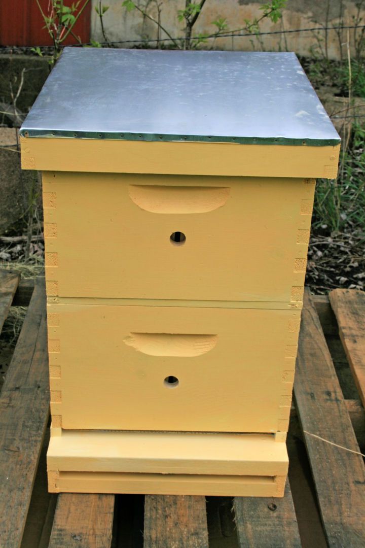 How to Make a Bee Box