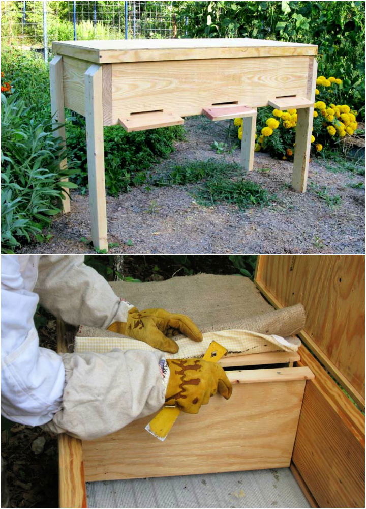 Long Langstroth Hive