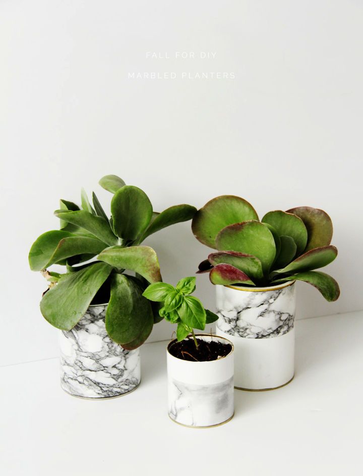 Marble Contact Paper Planters