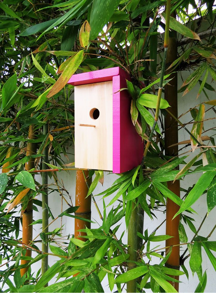 Modern Bird House