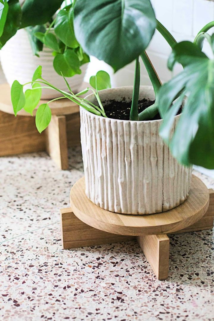 Modern Wood Plant Stands