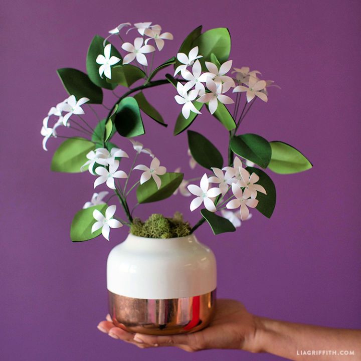 Paper Potted Jasmine Flower