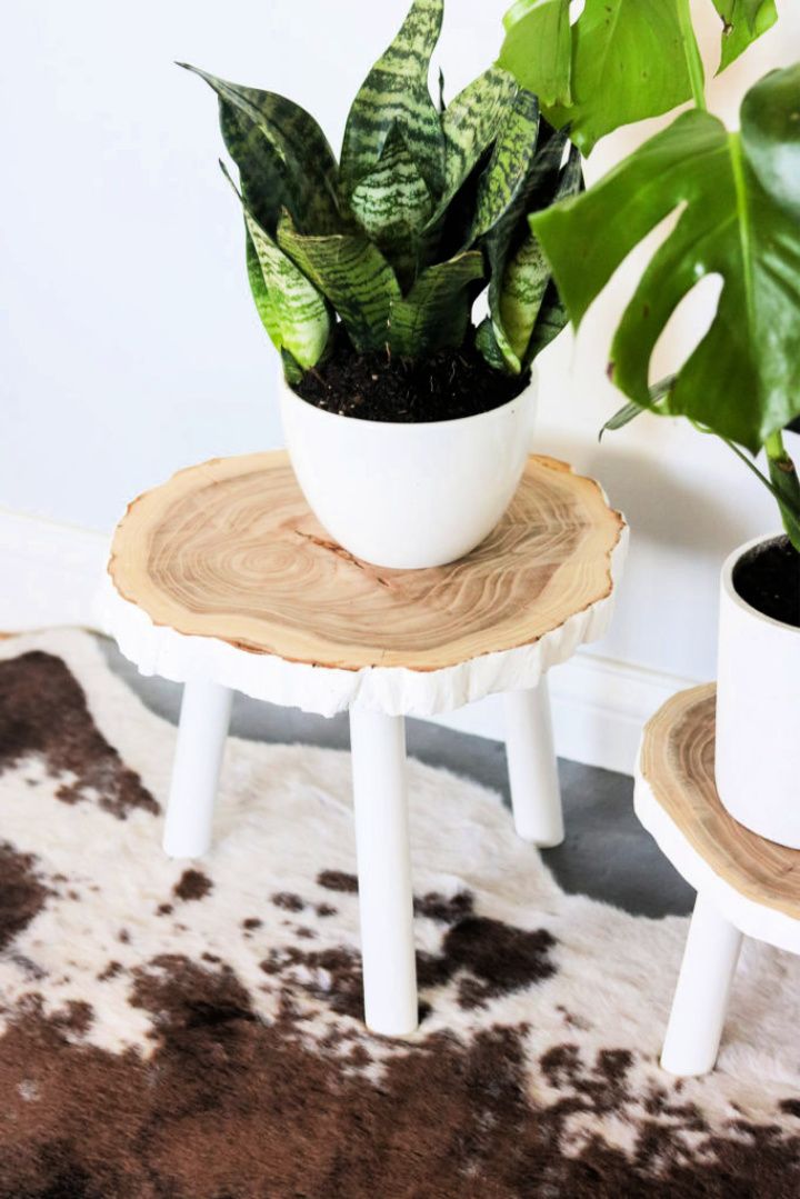 Plant Stands from Wood