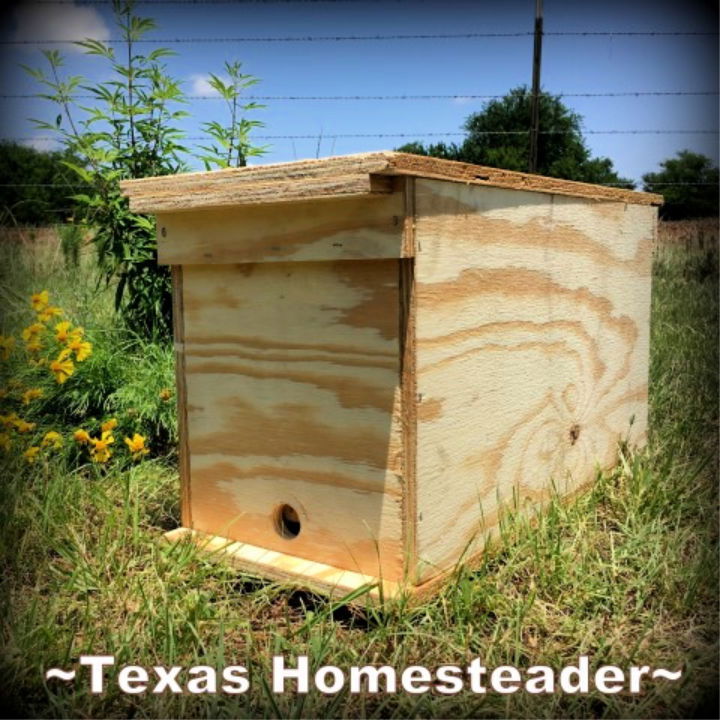 Plywood Bee Hive