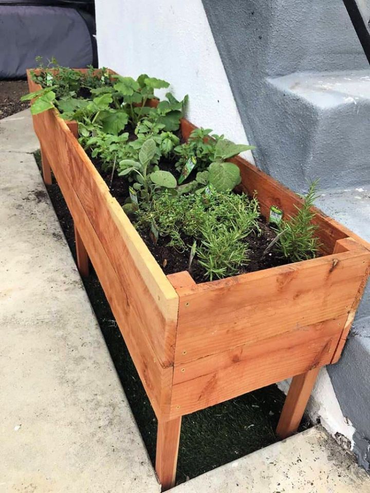 Raised Vegetable Planter Box