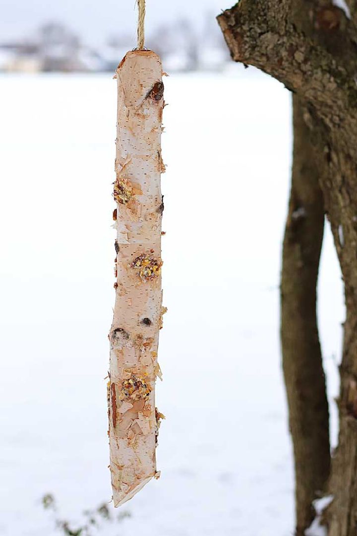 Rustic Log Bird Feeder