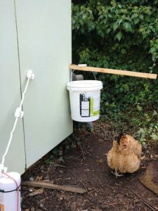 Homemade Diy Chicken Feeder Ideas Suite