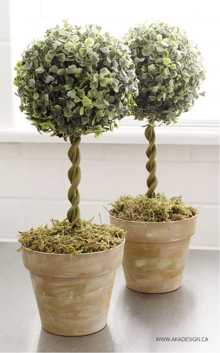 Topiary Trees from Dollar Store