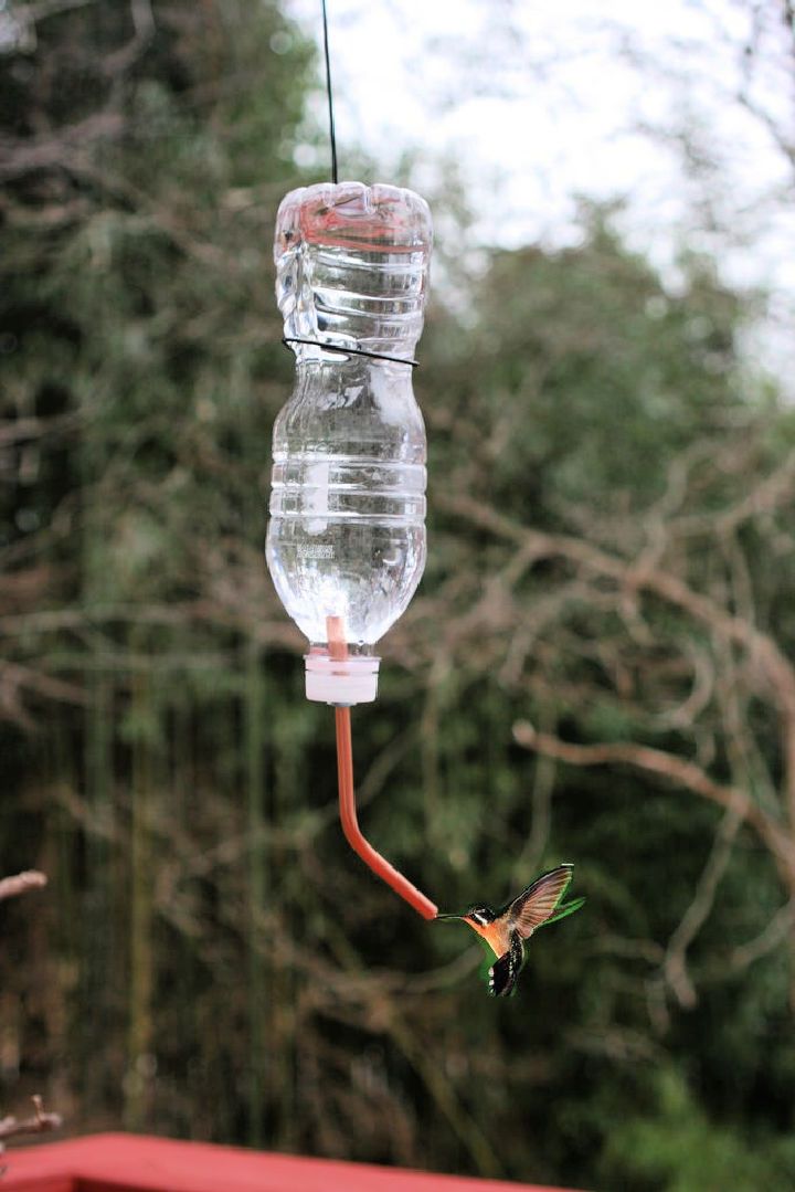 Water Bottle Hummingbird Feeder