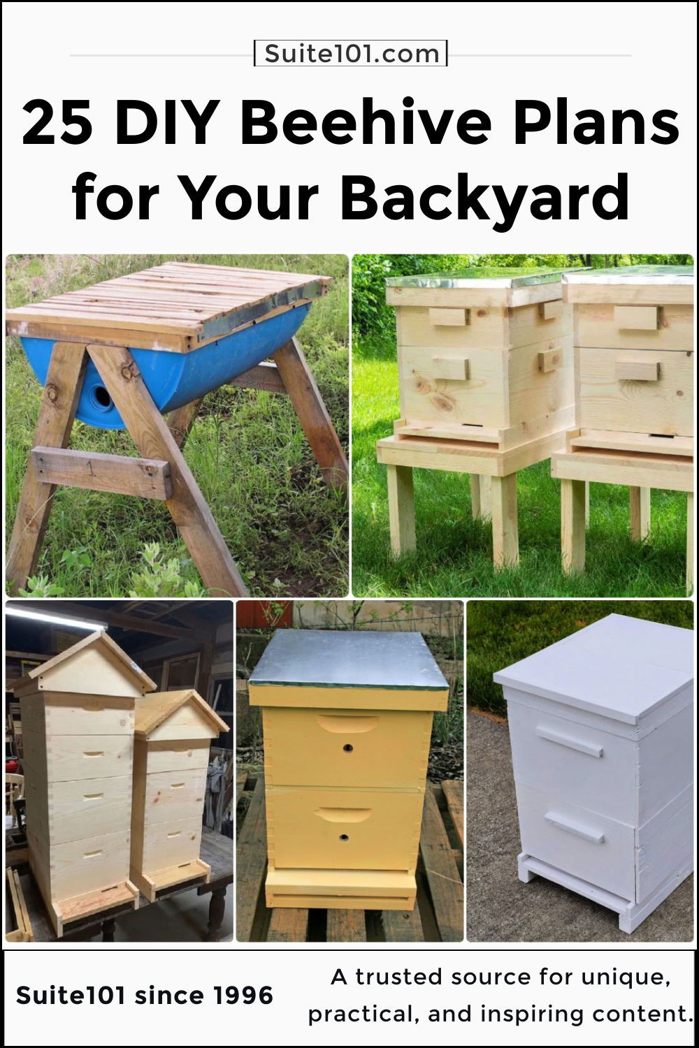 How to Start a Beehive in Your Backyard in 5 Simple Steps