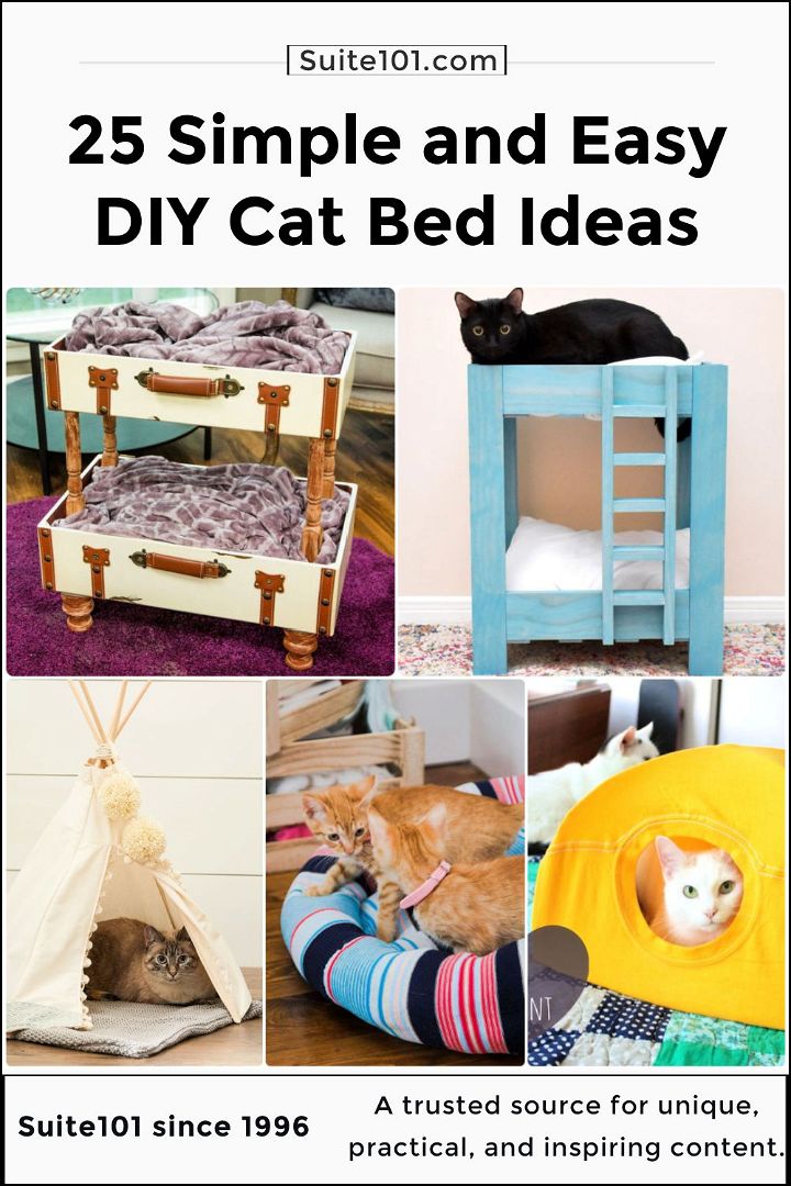 25 cheap and easy diy cat bed ideas you can make