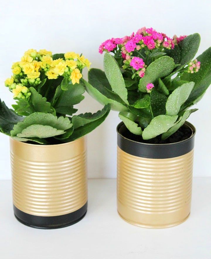 Cute DIY Tin Can Flower Pots