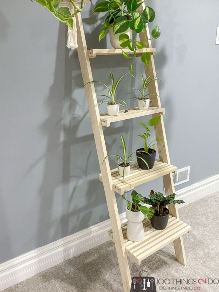 DIY Indoor Ladder Plant Stand