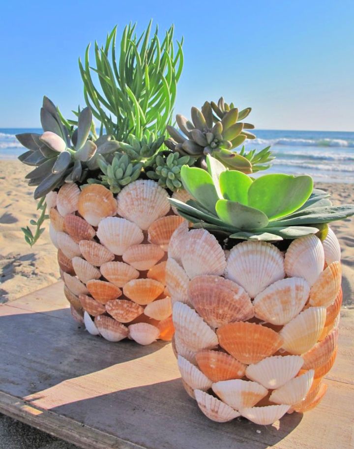 DIY Seashell Flower Pot for Decoration
