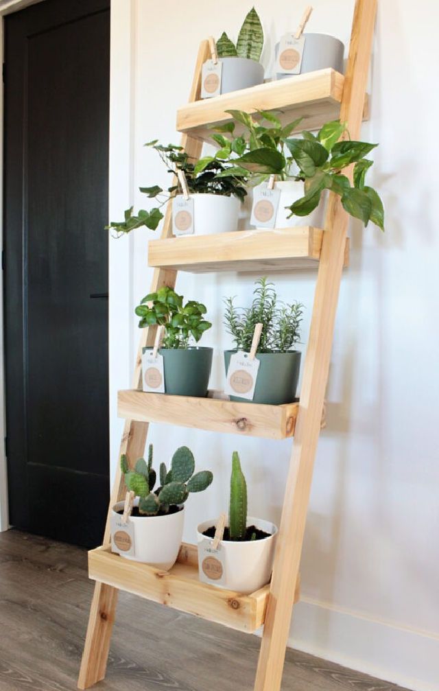 Indoor Garden Plant Ladder Shelf