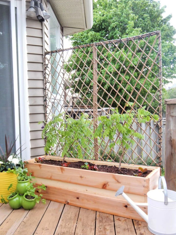 Adorable DIY Outdoor Privacy Screen