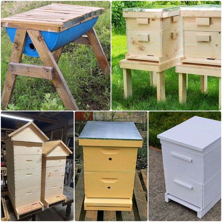 diy beehive plans for your backyard