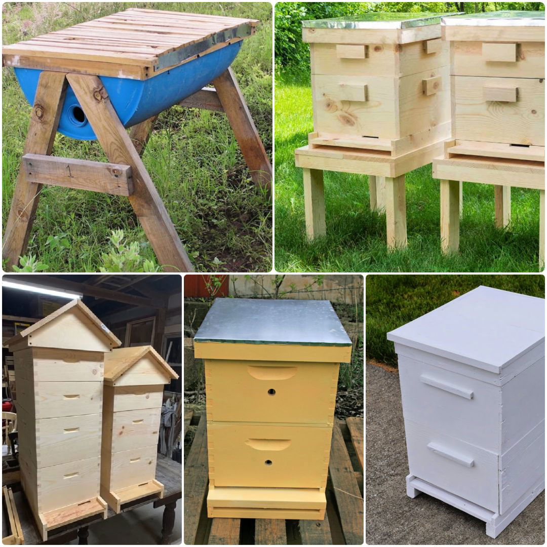 free diy beehive plans to build your own bee box