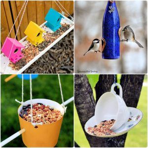 homemade diy bird feeder ideas