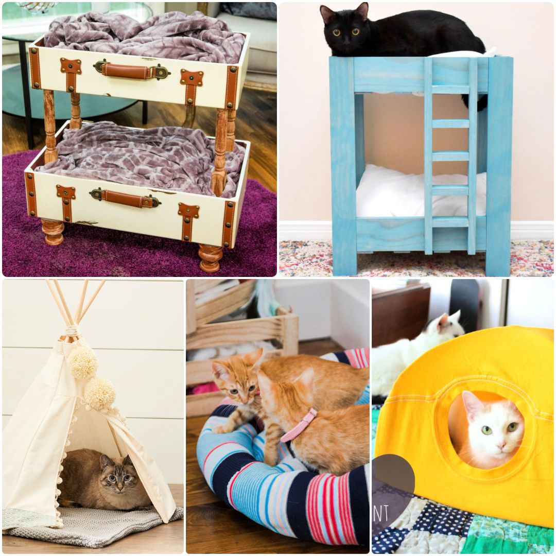 Diy wooden outlet cat bed