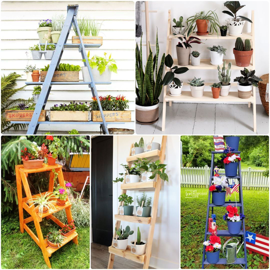 diy ladder plant stand