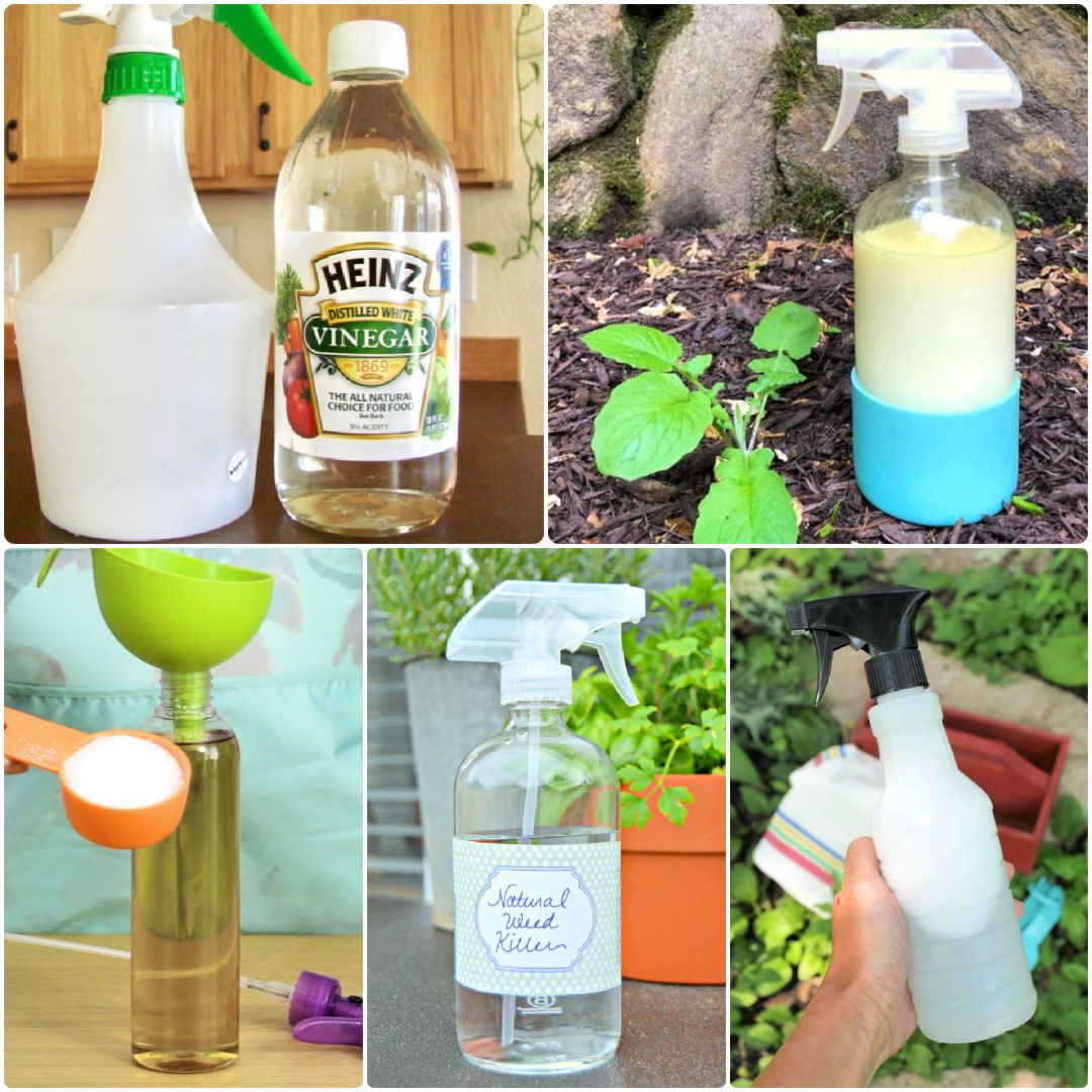 homemade weed killer