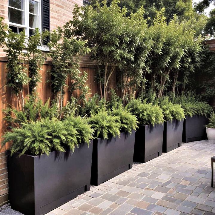 privacy planters backyard privacy