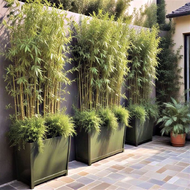 privacy planters outdoor area