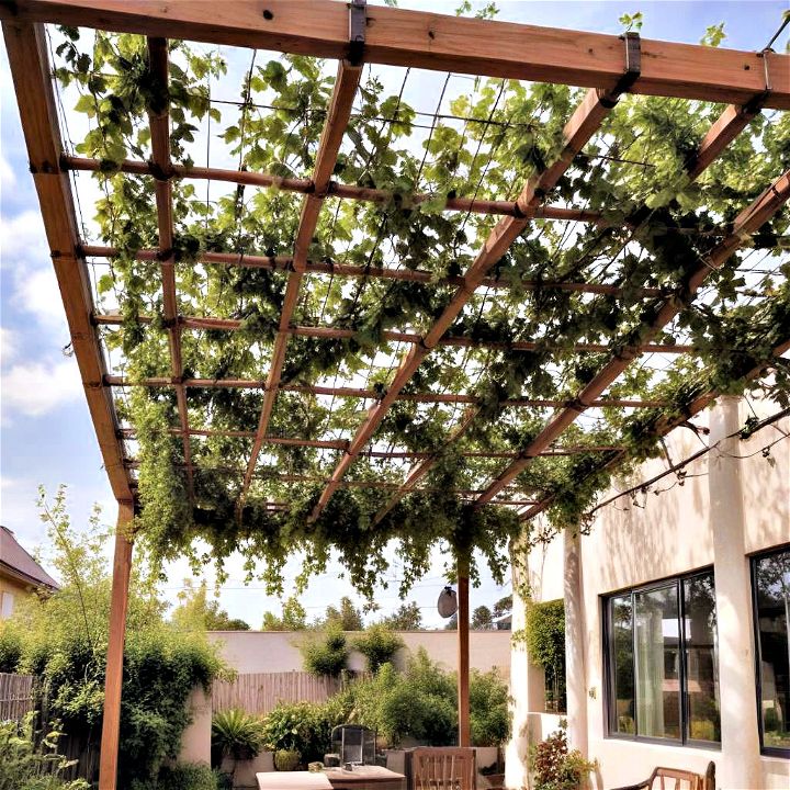 wire grid with vines living pergola roof