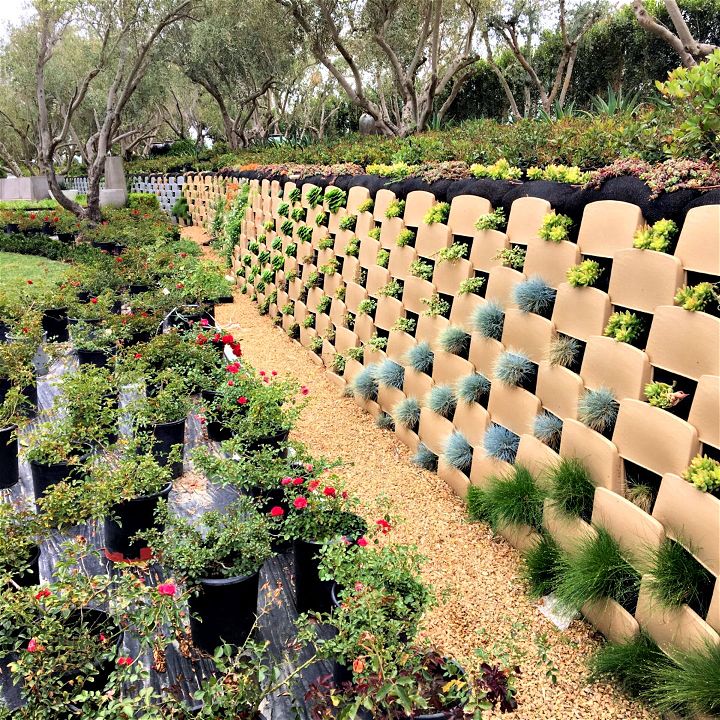 beautiful and beneficial vertical garden retaining wall