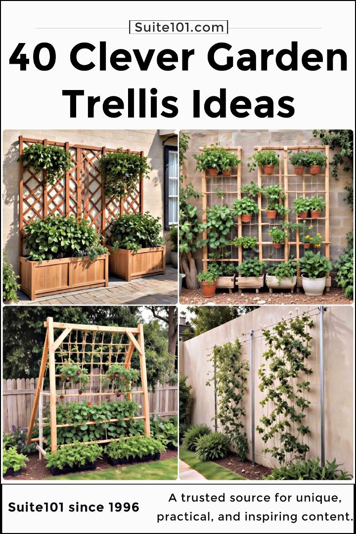 best garden trellis ideas