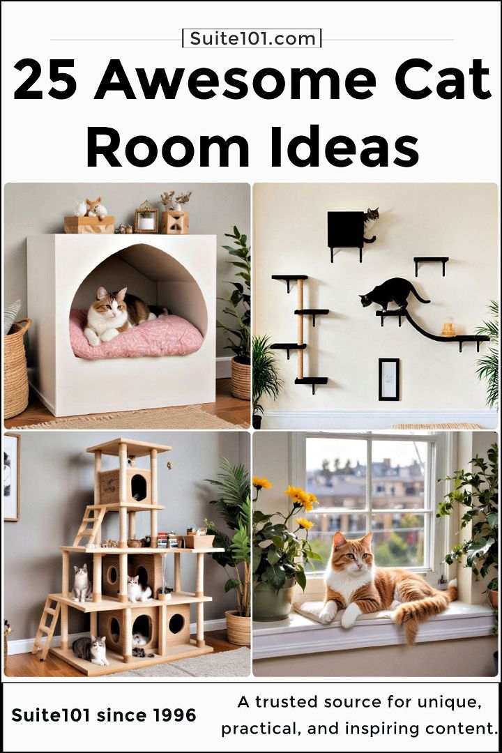 cat room ideas to copy