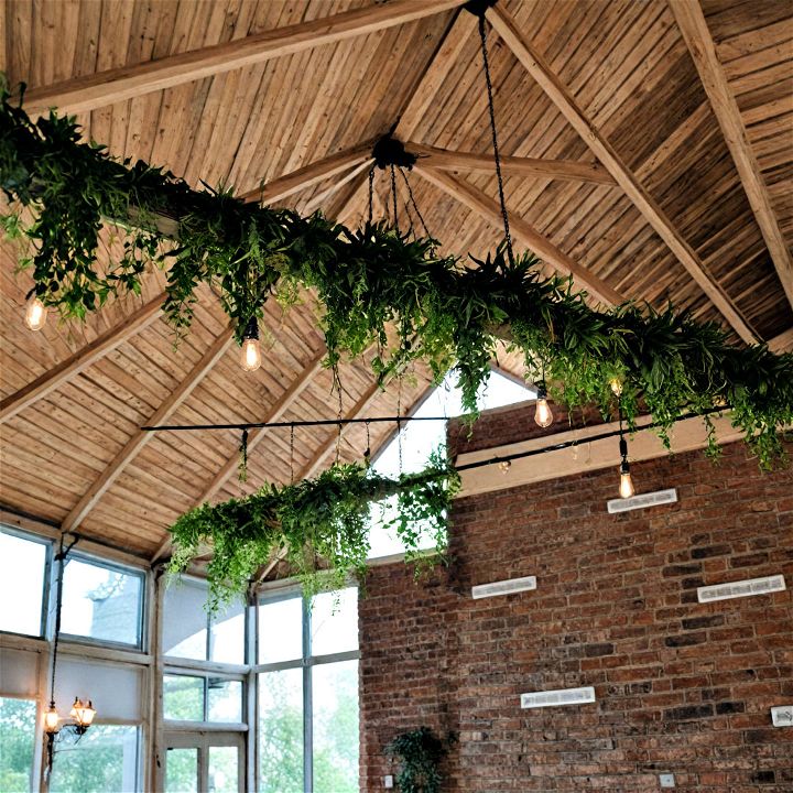 ceiling beams with hanging plants