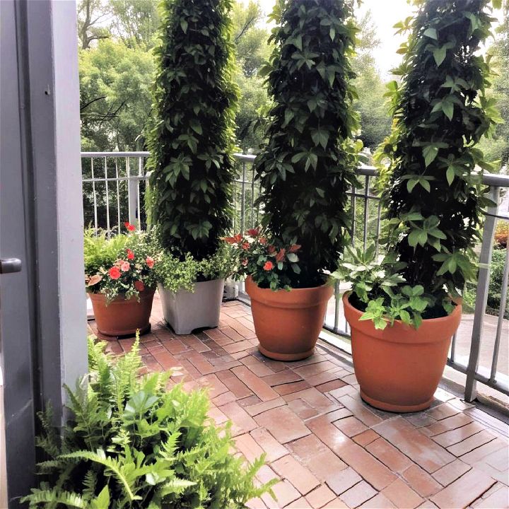 cheap potted plants to block neighbors view