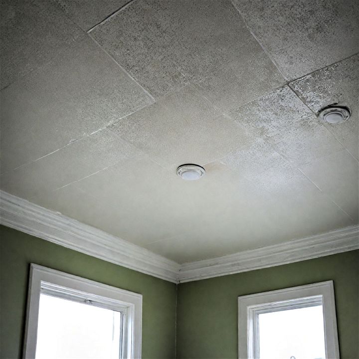 durable mold resistant bathroom drywall