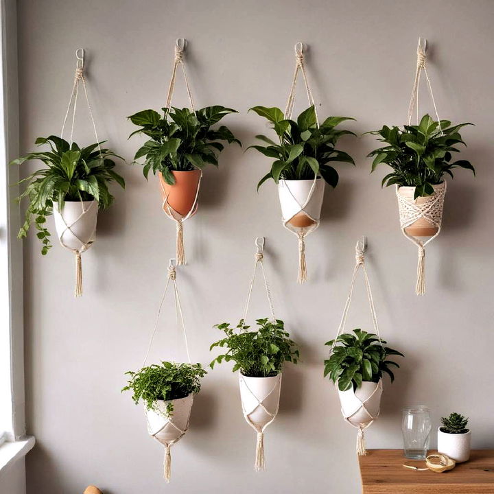 Plant Hanger to display greenery