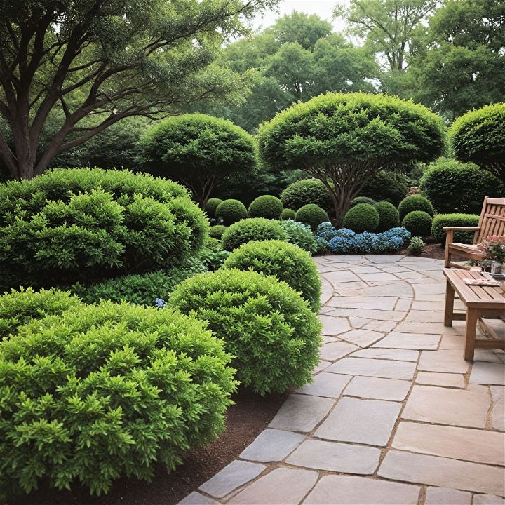 attractive and low maintenance shrubs