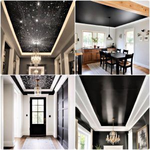 black ceiling ideas