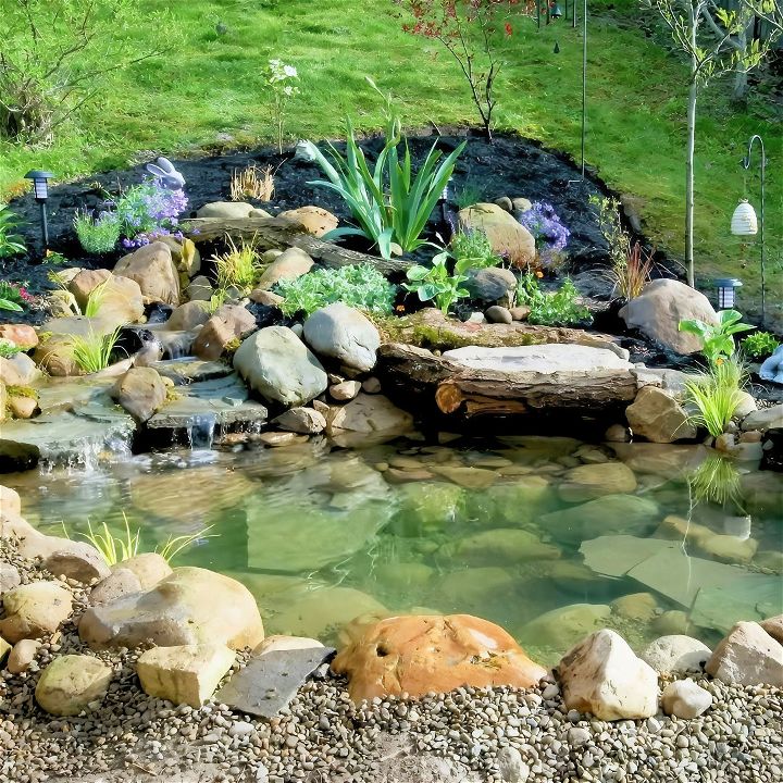 budget friendly diy ecosystem pond