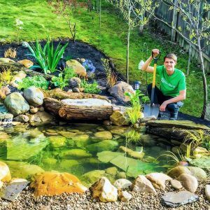 building an ecosystem pond step by step