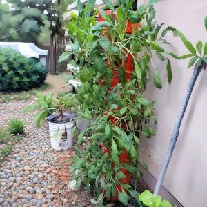 cheap and easy diy vertical tower garden