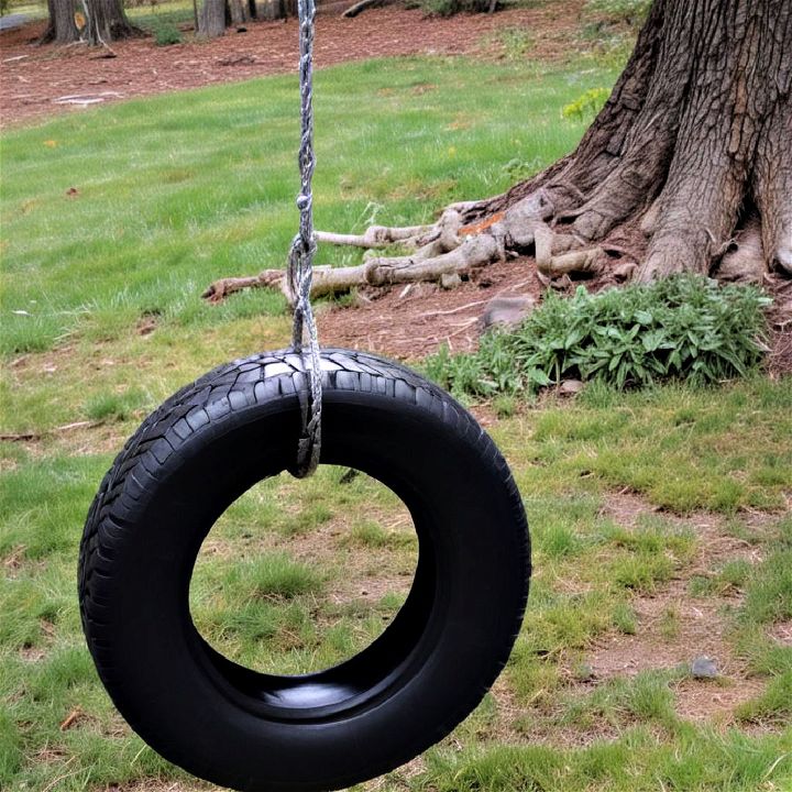 classic hanging tire swing