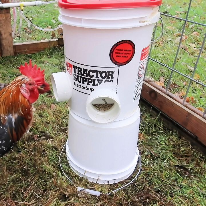 diy chicken feeder using a 5 gallon bucket