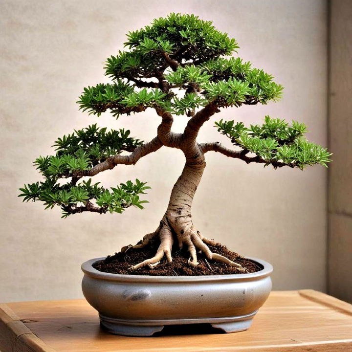 elegant and artistic bonsai trees