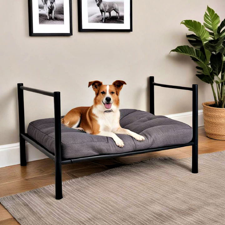 elevated bed for dog room